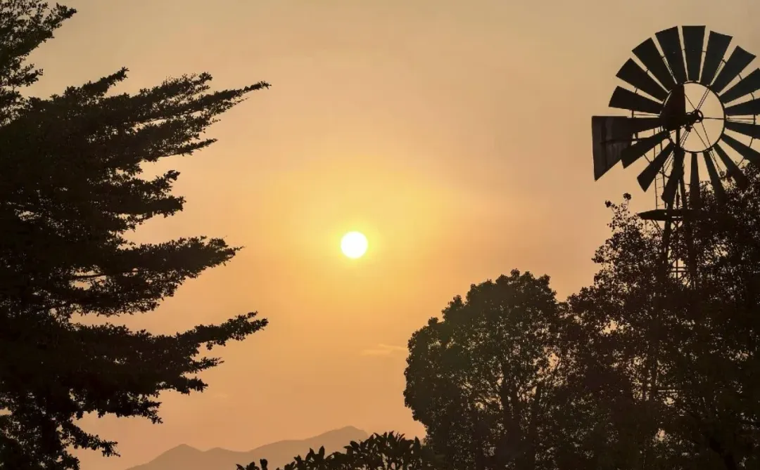 鸿蒙微信支持发布和查看实况啦