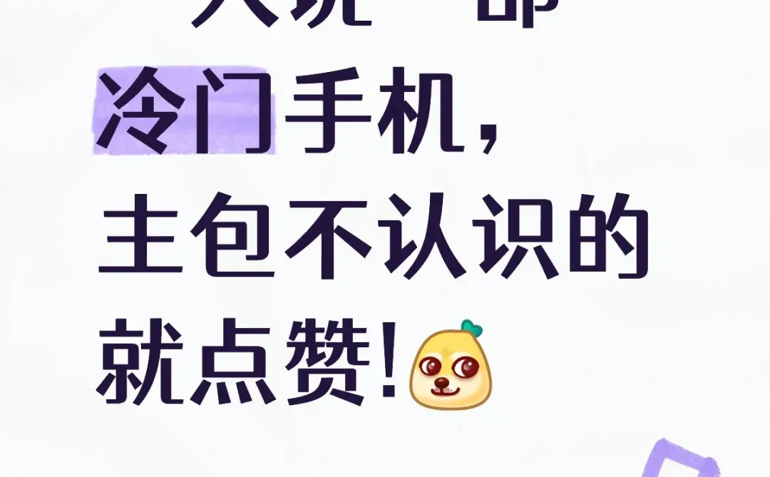 一人说一部冷门手机，主包不认识的就点赞!