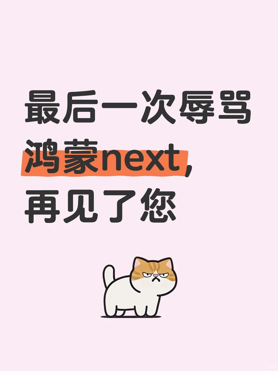 最后一次辱骂鸿蒙next，再见了您