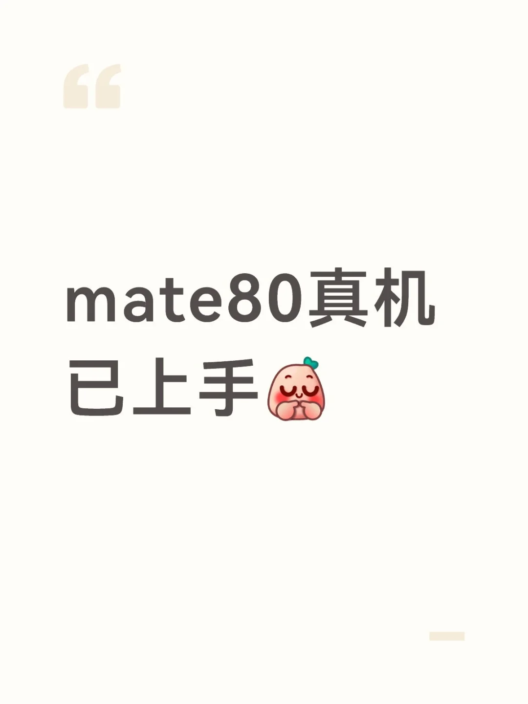 mate80确定要上