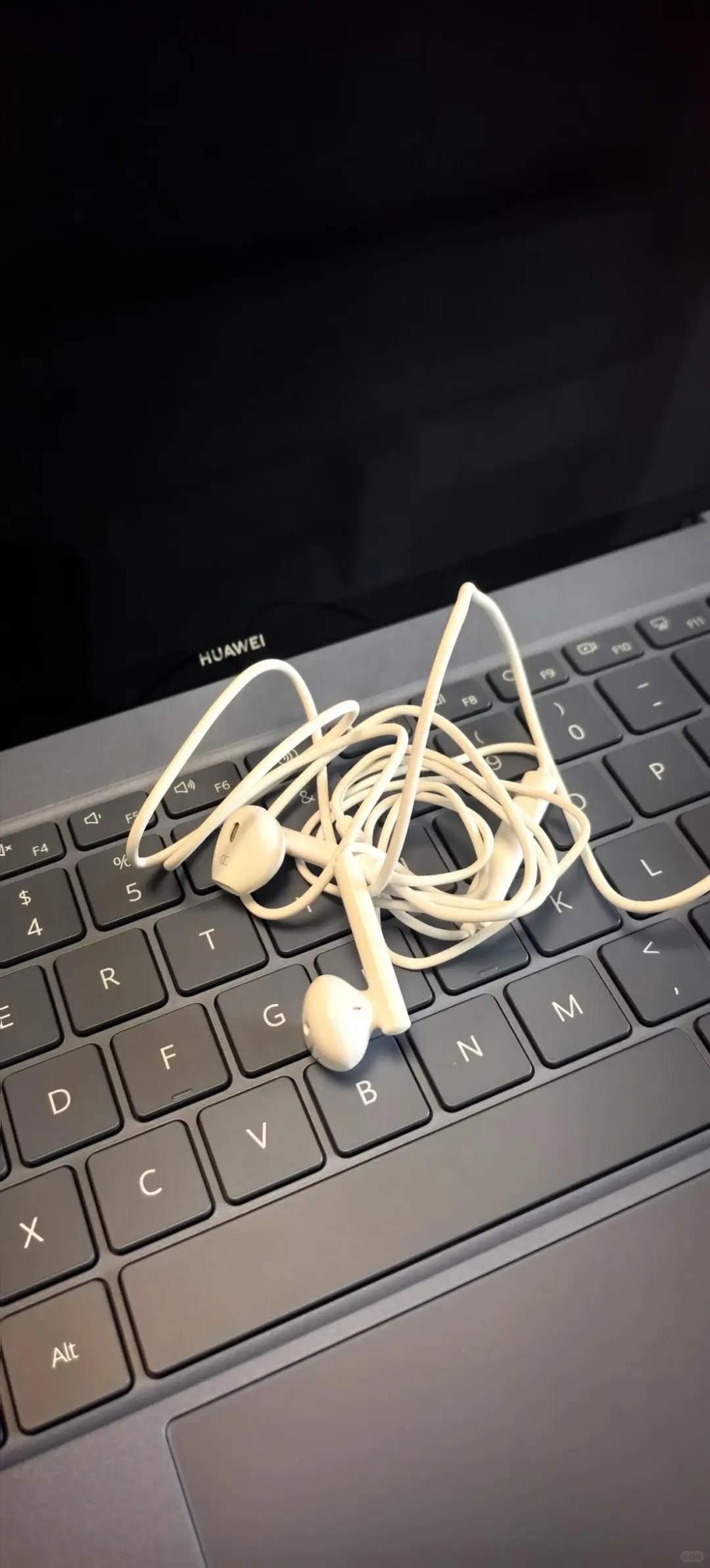 华为matebookPro鸿蒙版，我入！