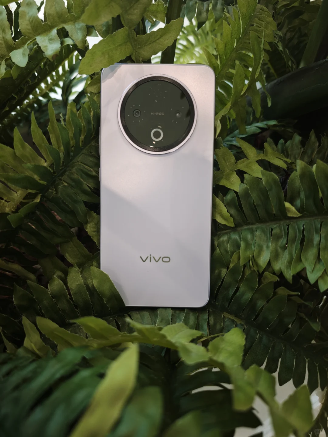 vivo Y500——实用至上