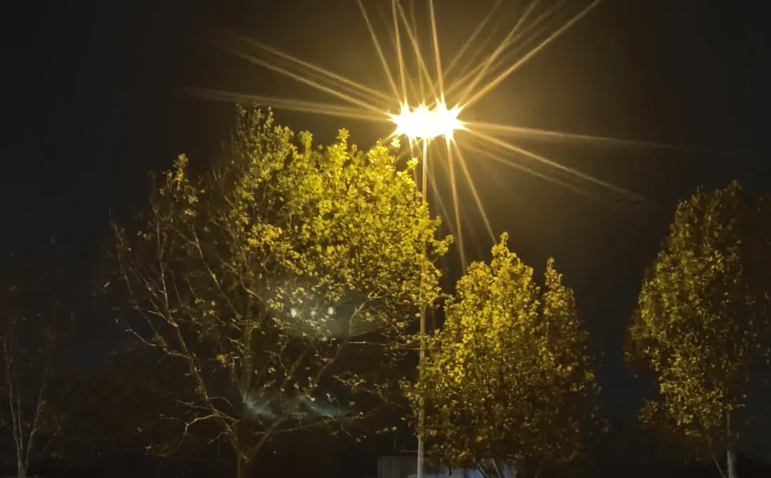 遥遥领先 鸿蒙系统真是越用越香 真香