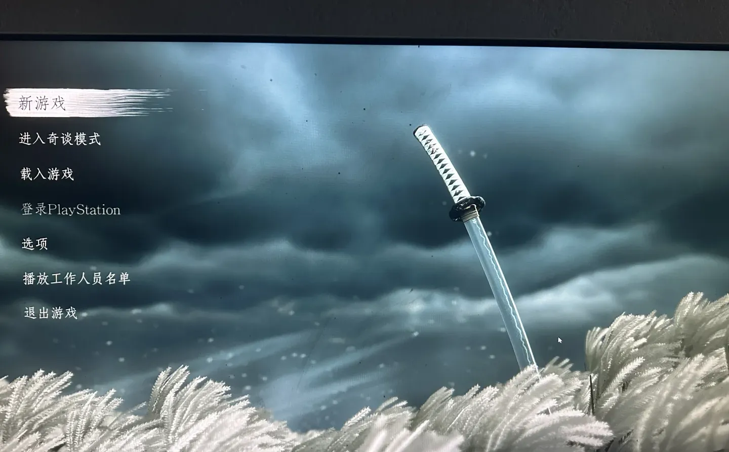 才发现对马岛上pc了