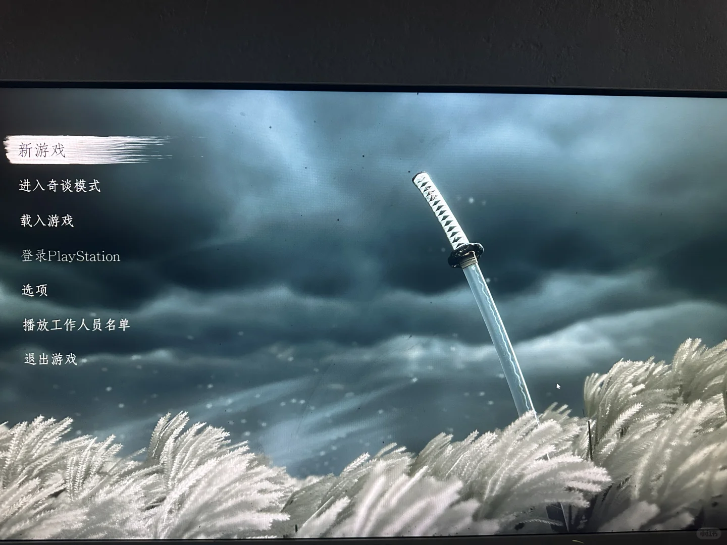 才发现对马岛上pc了