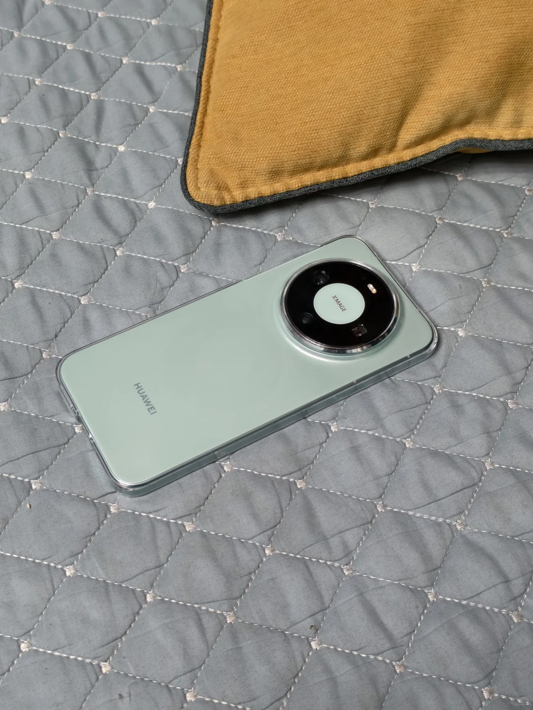 天呐！这个小绿也太好看啦！