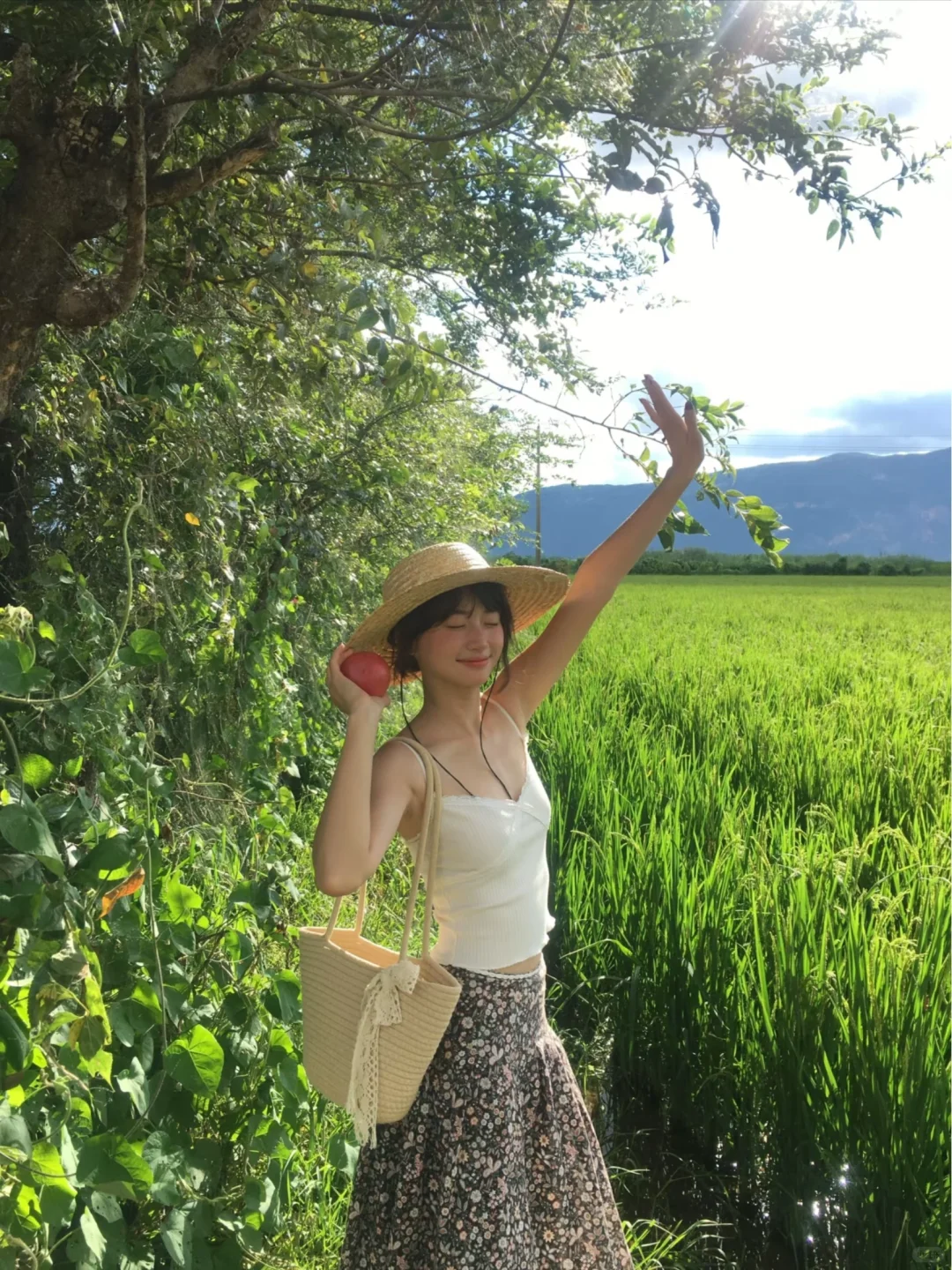 ✅解锁dazz的快乐🌸