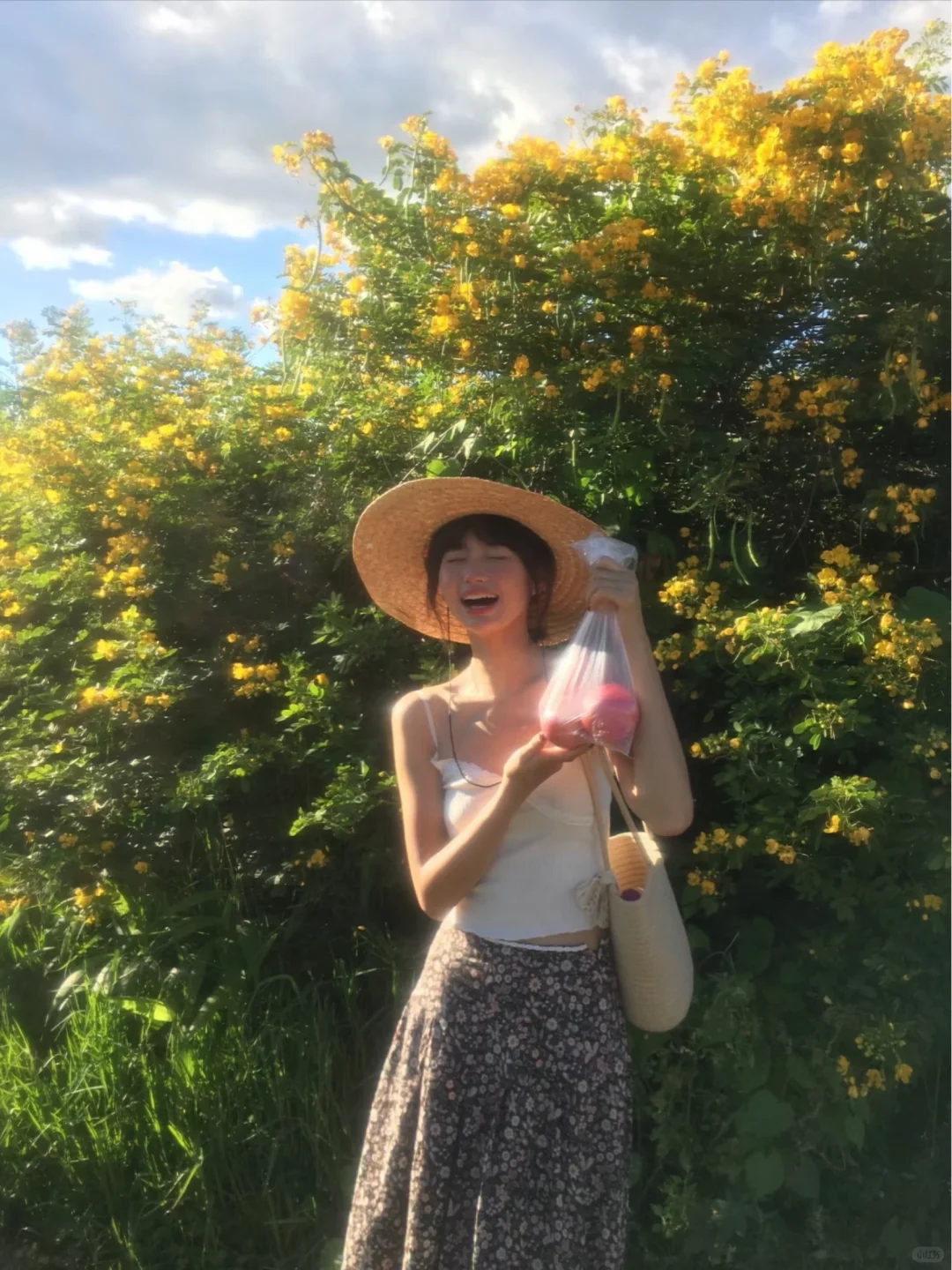 ✅解锁dazz的快乐🌸