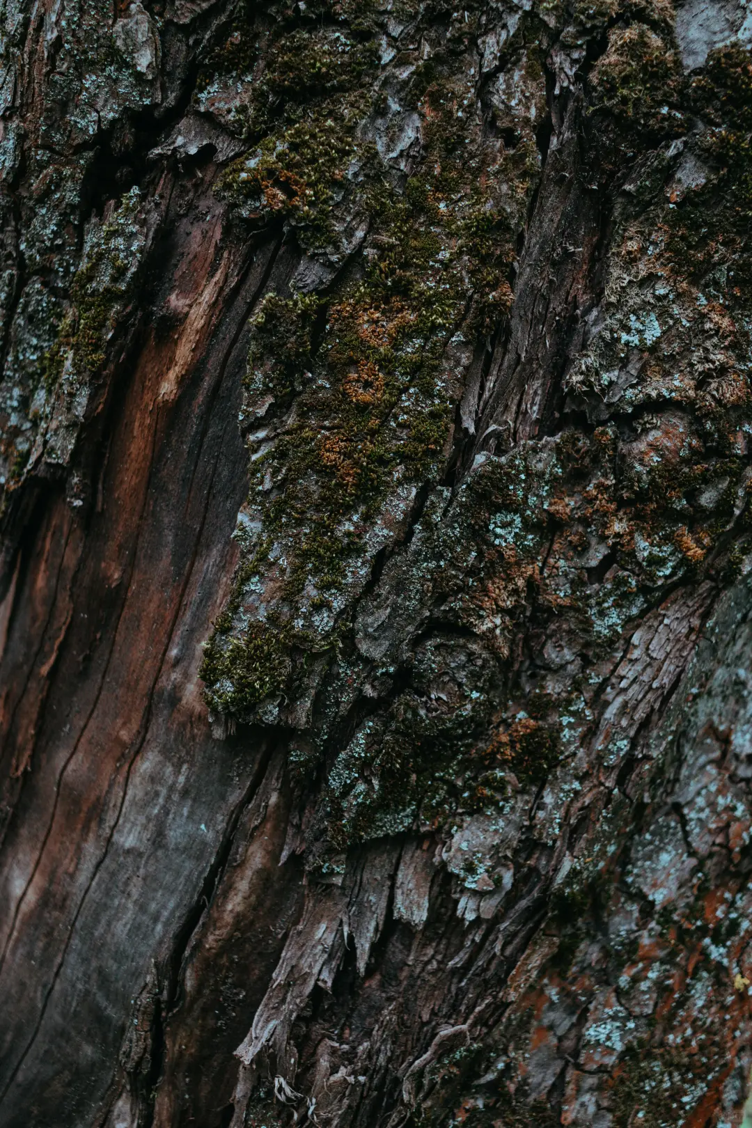 足不出户看报纸：多份权威报纸在线浏览推荐