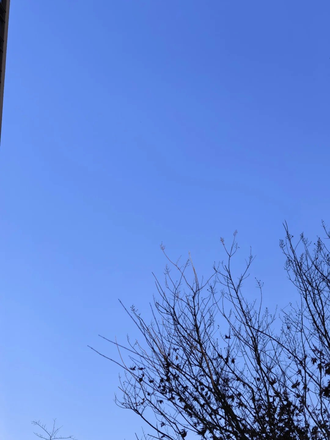 华为mate80promax使用一周体验