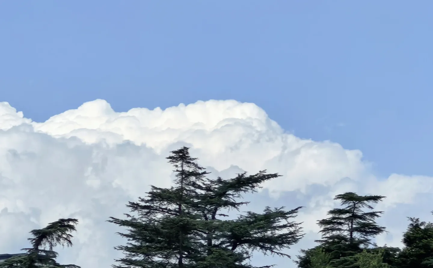 华为鸿蒙，拍照超级神！