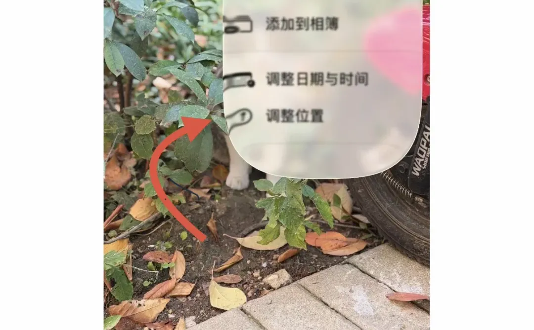 iOS 26.2 正式版来了！赶快更新