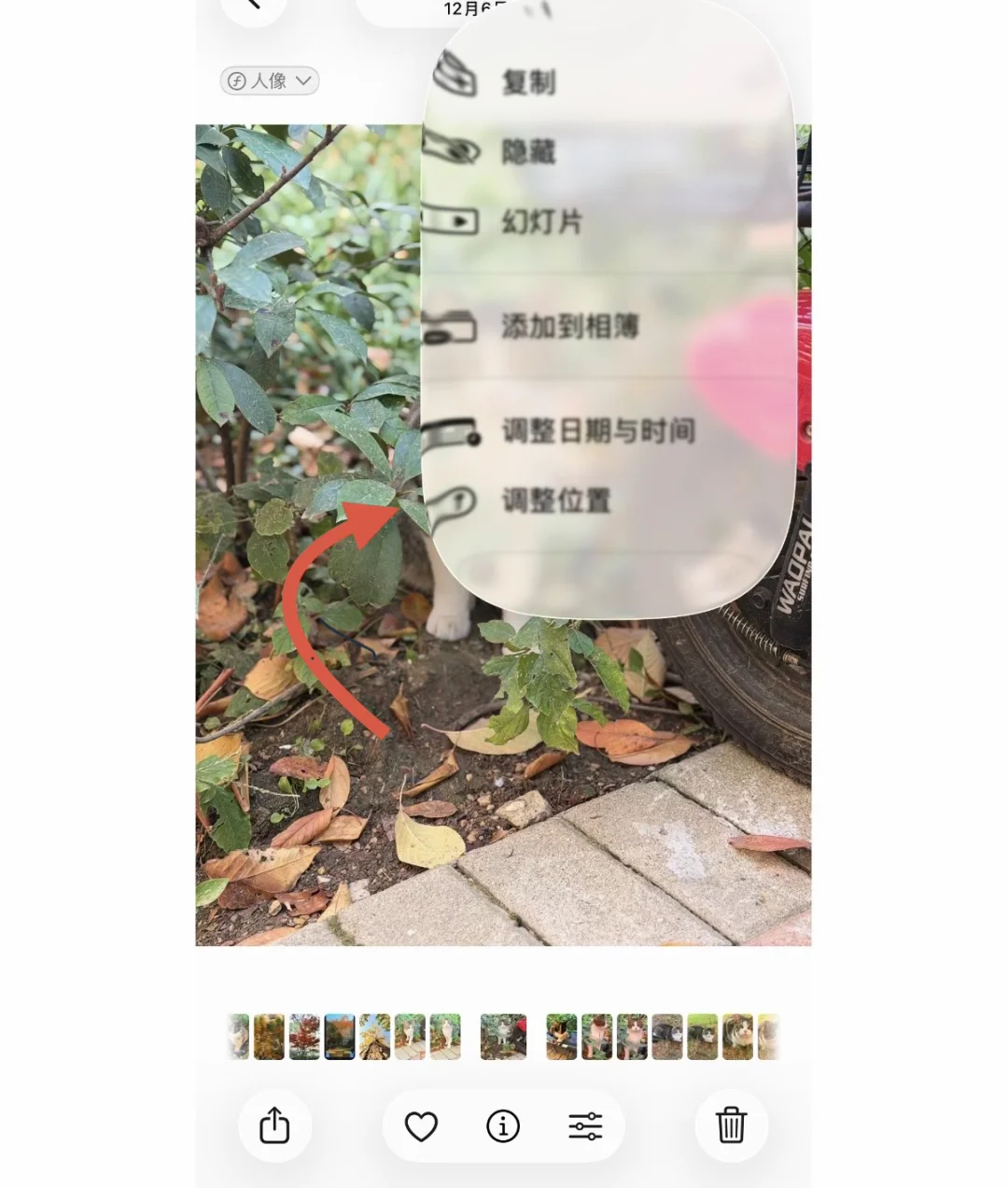 iOS 26.2 正式版来了！赶快更新