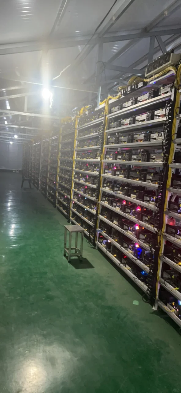 远程电脑出租服务器出租模拟器多开游戏