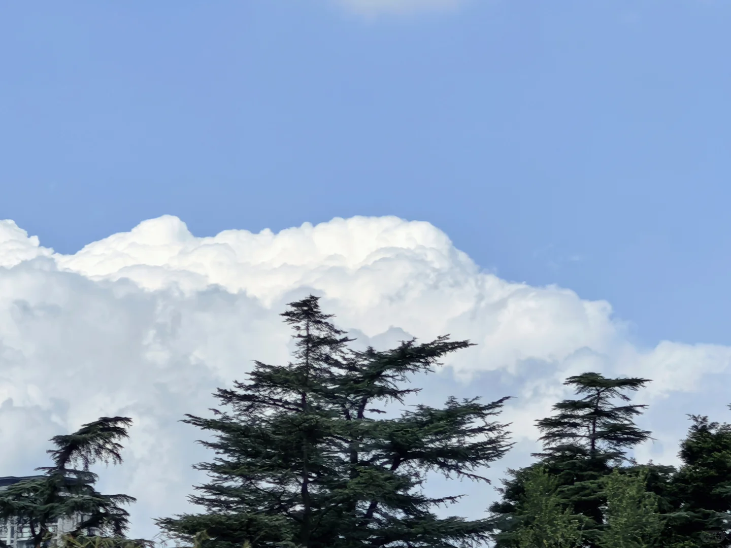 华为鸿蒙，拍照超级神！