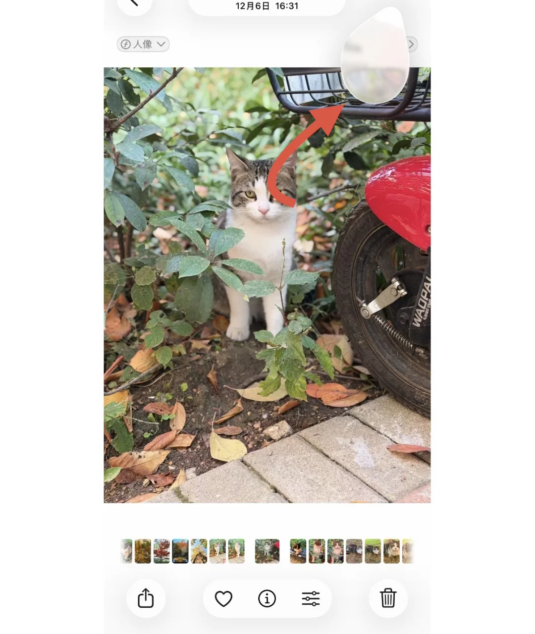 iOS 26.2 正式版来了！赶快更新