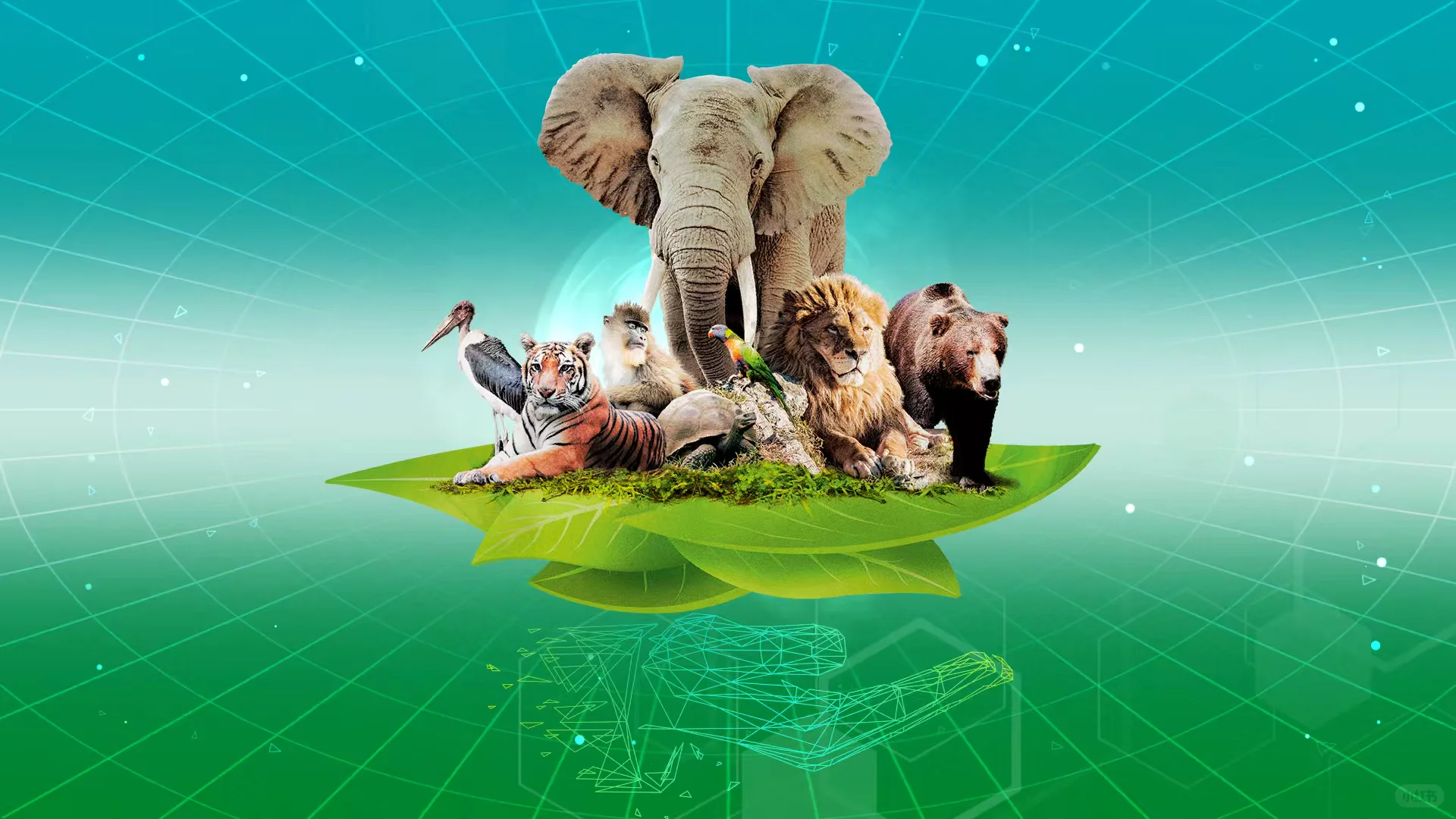 补版！更新了所有桌游的中文！！！