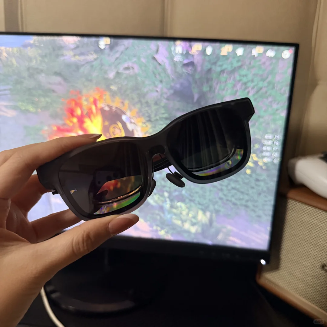 说说玩燕子的心路历程😂😂😂