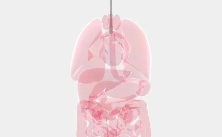 安卓生命life!功能齐全!