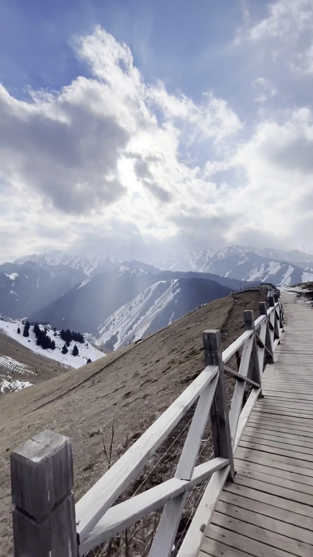 赛里木湖租车价格💰人均80赛里木湖租车自驾