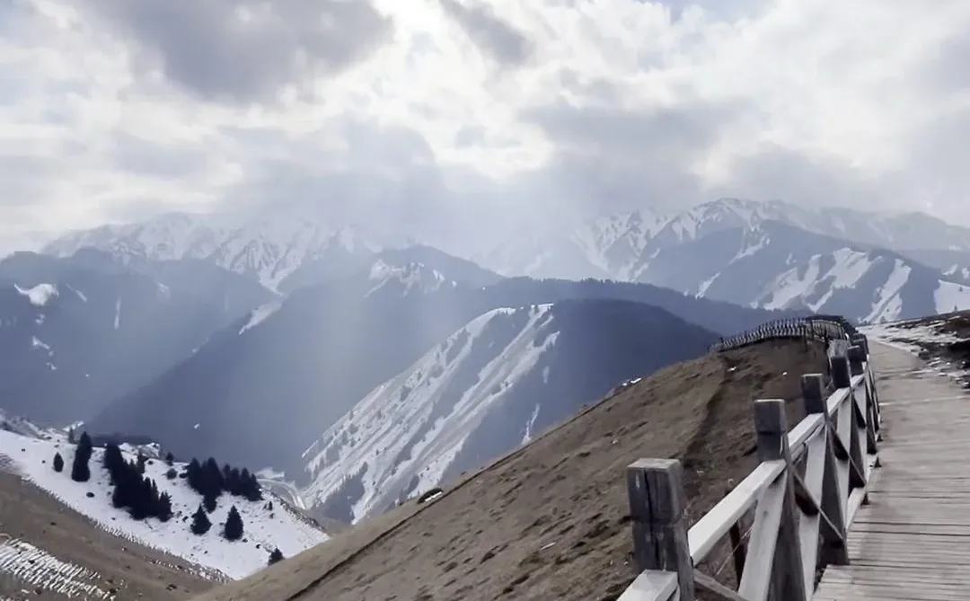赛里木湖租车价格💰人均80赛里木湖租车自驾