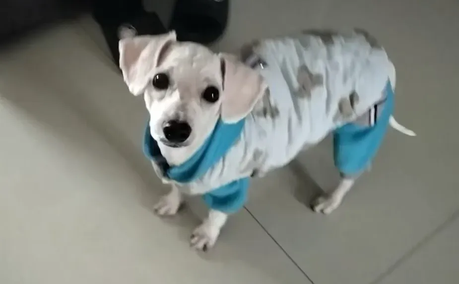 都快要把邢台翻个底朝天