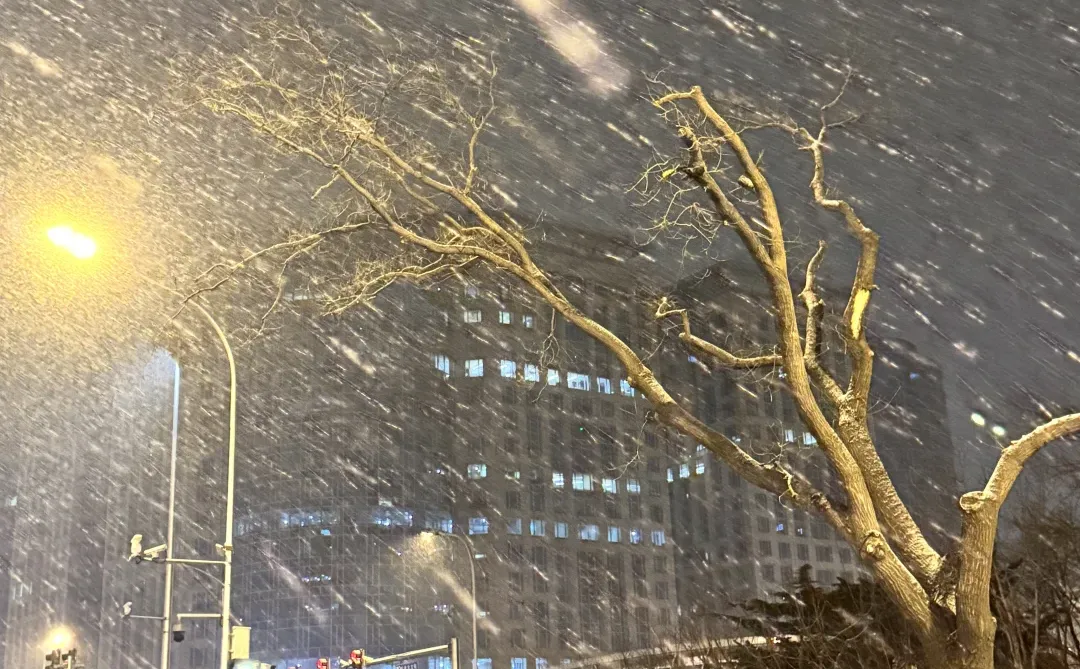 2025.12.23 ❄️凌晨突然暴雪❄️