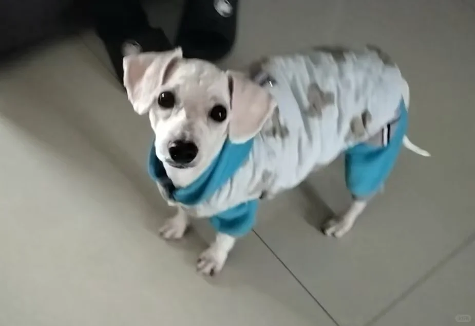 都快要把邢台翻个底朝天