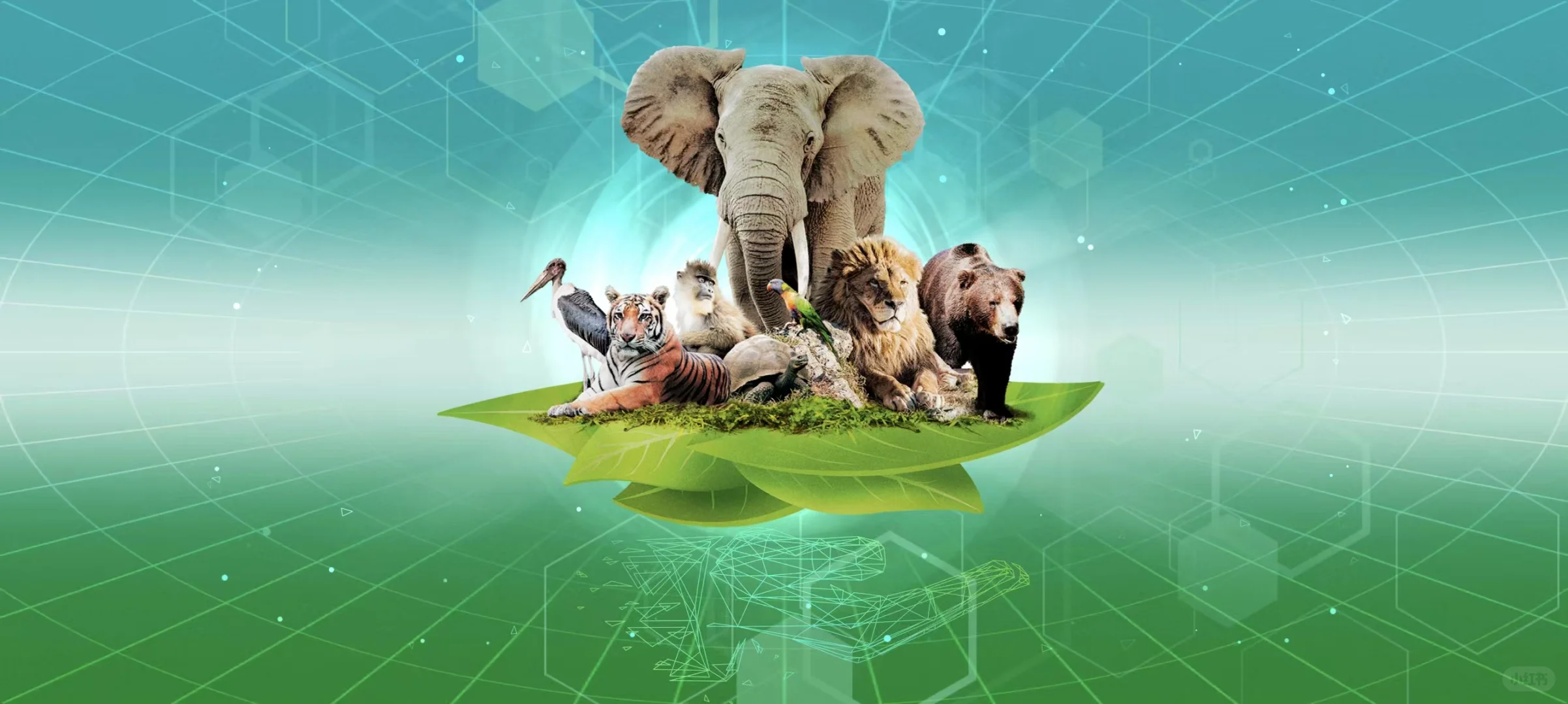 更新！补版了所有桌游的汉化！！！