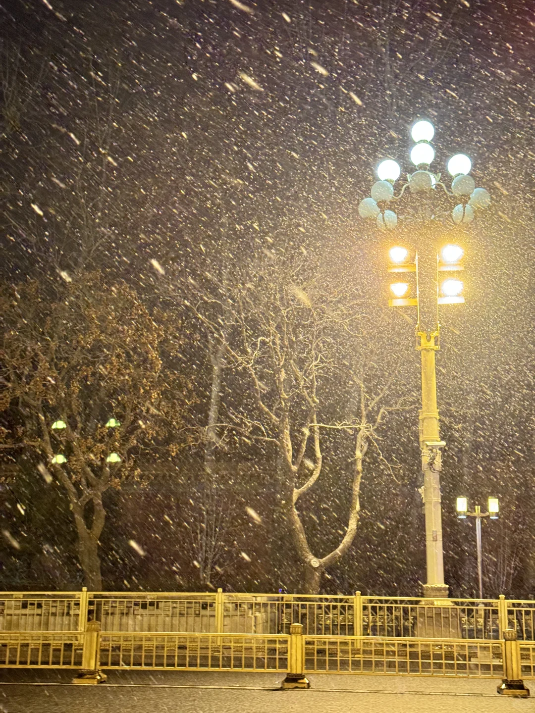 2025.12.23 ❄️凌晨突然暴雪❄️
