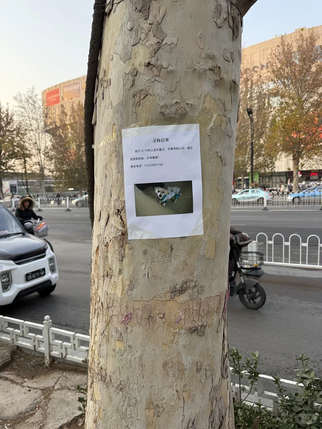 都快要把邢台翻个底朝天