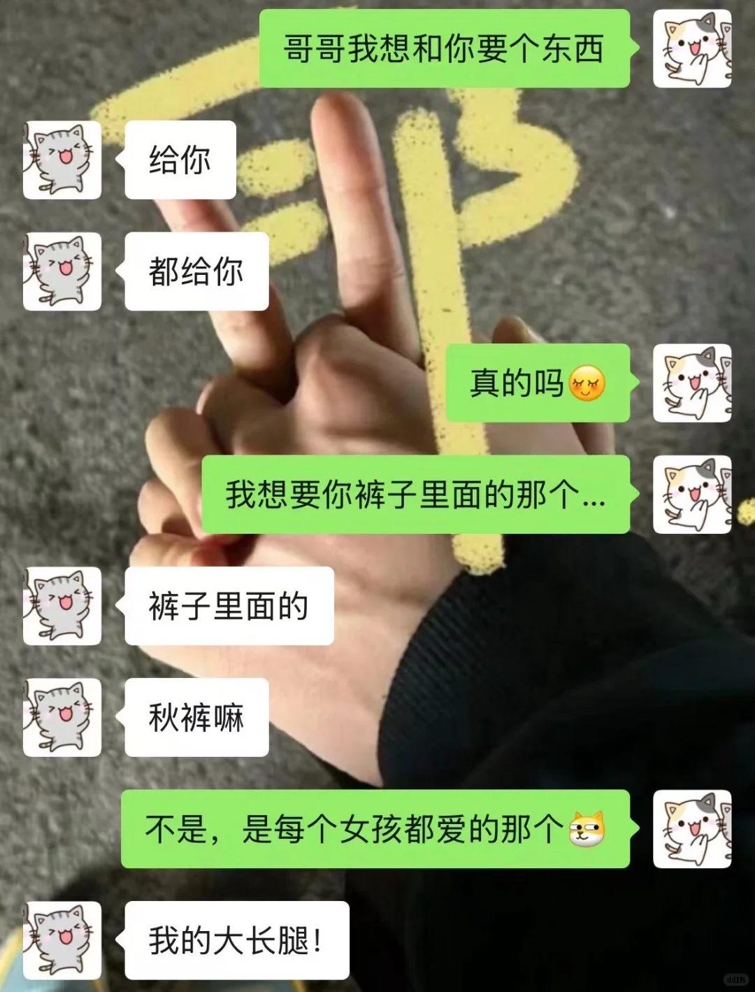 和男朋友的炸裂聊天。。。。