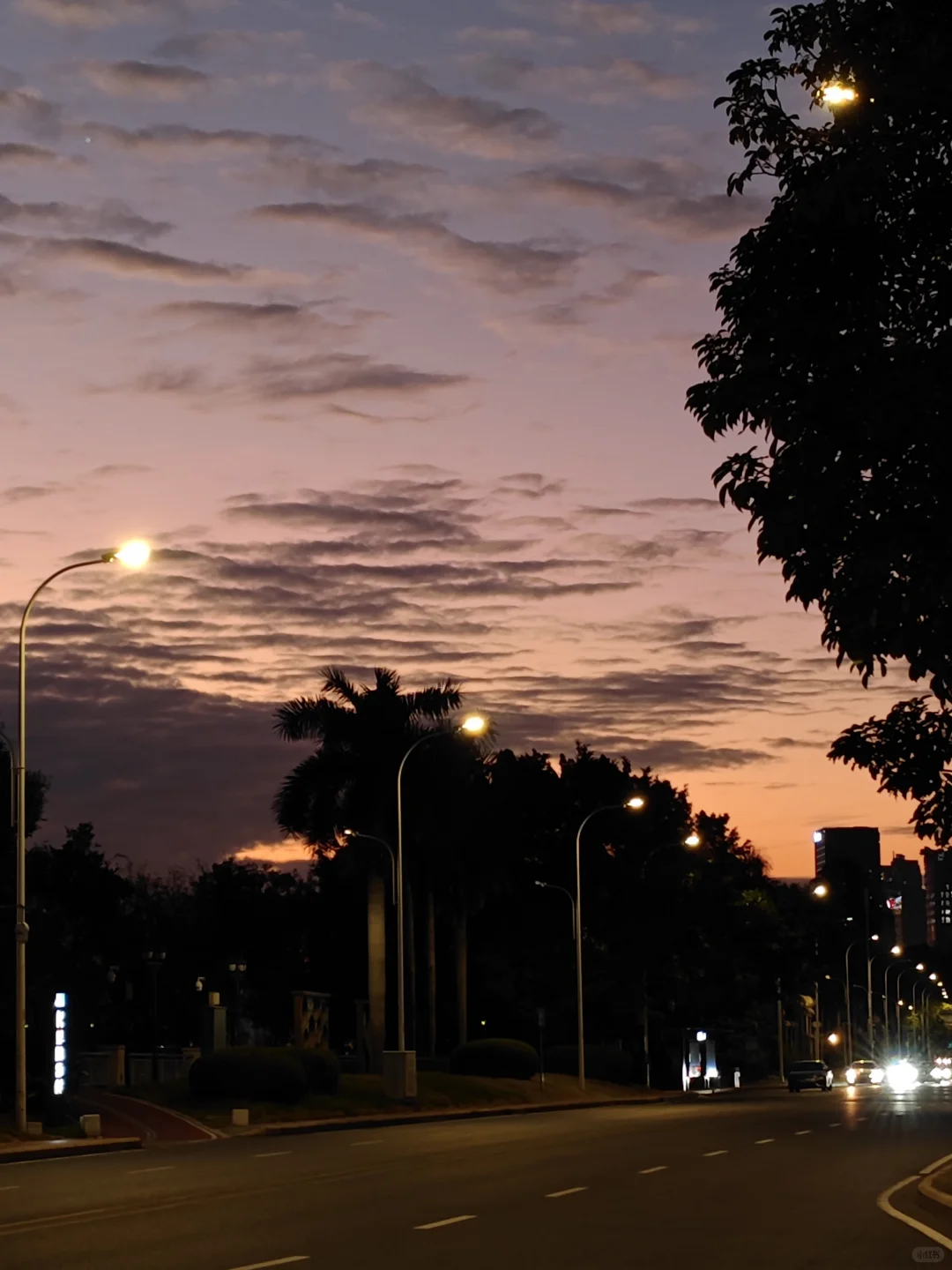 没错，是时候曝光我的男朋友了