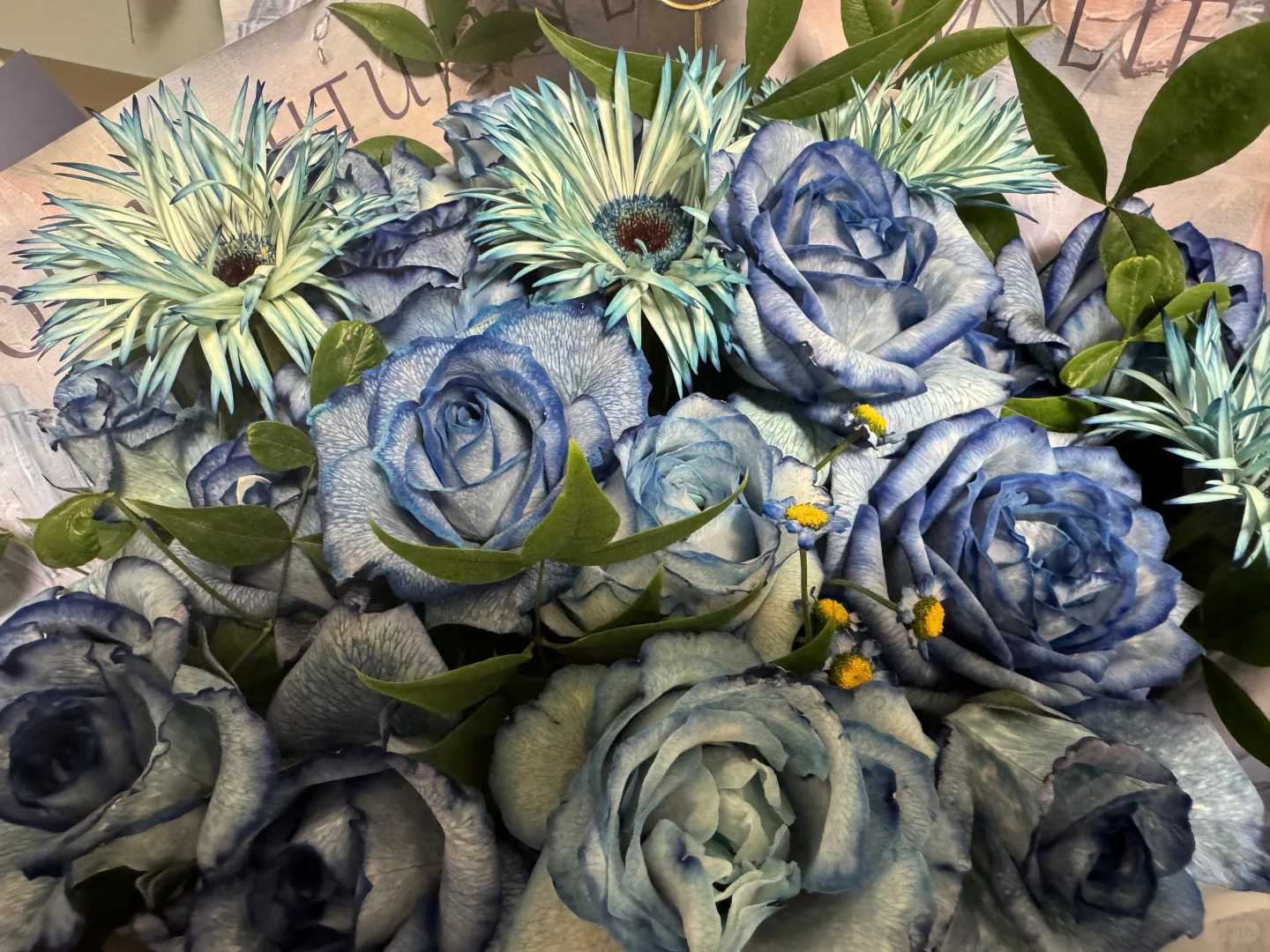 说说关于男生的冷知识