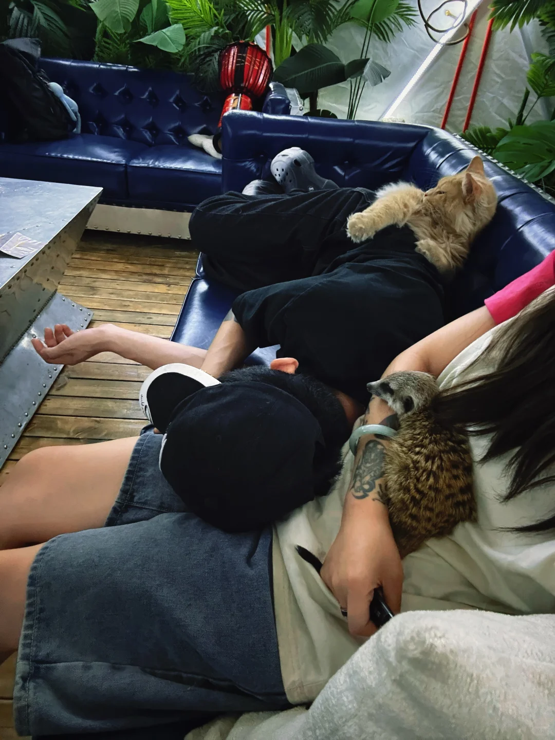 在探探上划到的男朋友，居然真的靠谱？！🤨