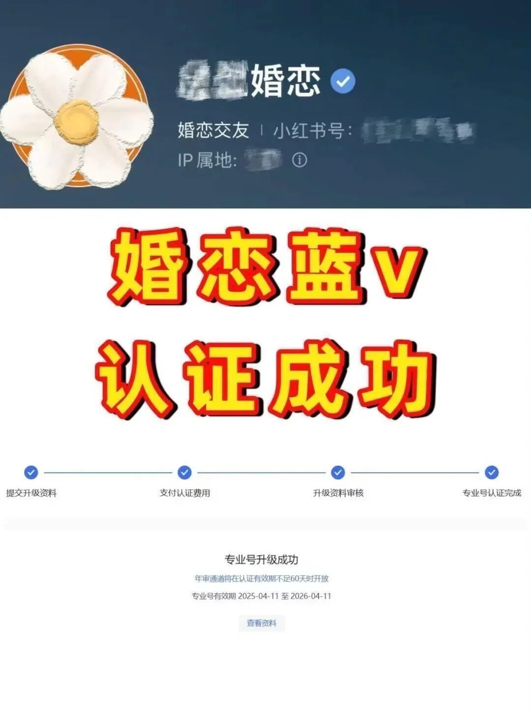 婚恋交友如何认证小🍠蓝v❓