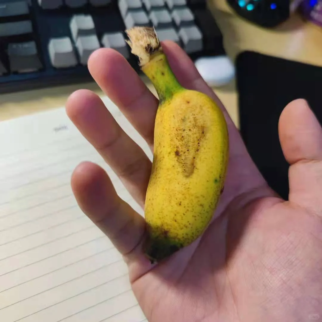 看我男朋友的小香蕉