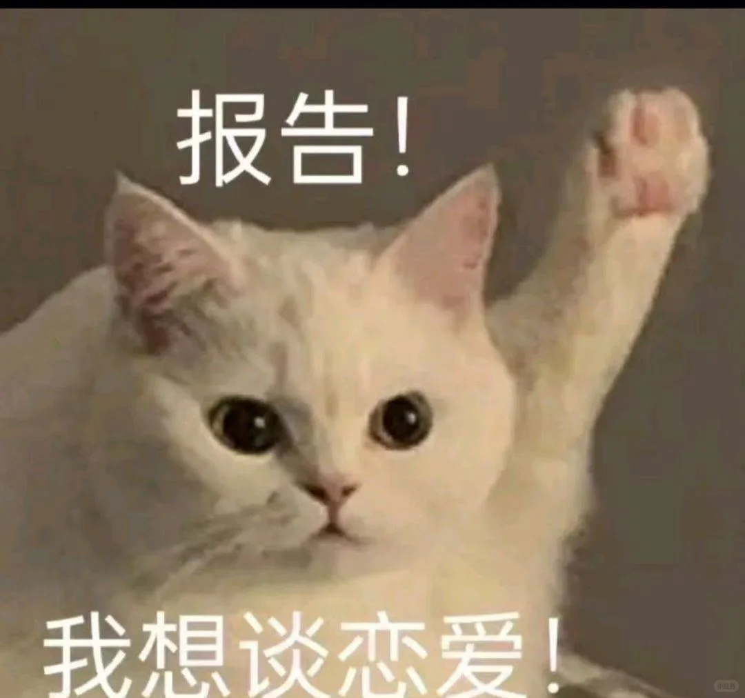 谈恋爱！谈恋爱！谈恋爱！