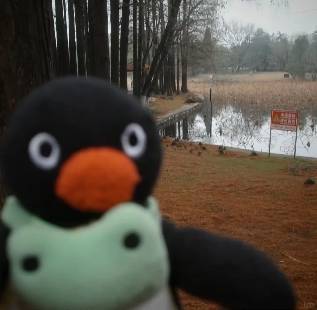 男朋友总让我学别人