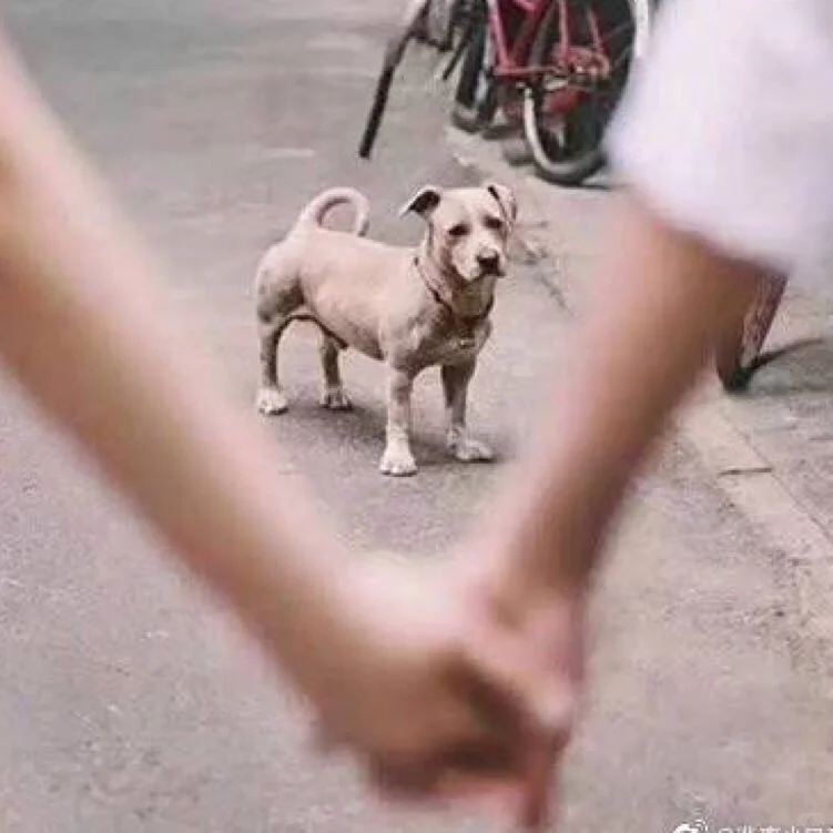 睡不着 想谈恋爱