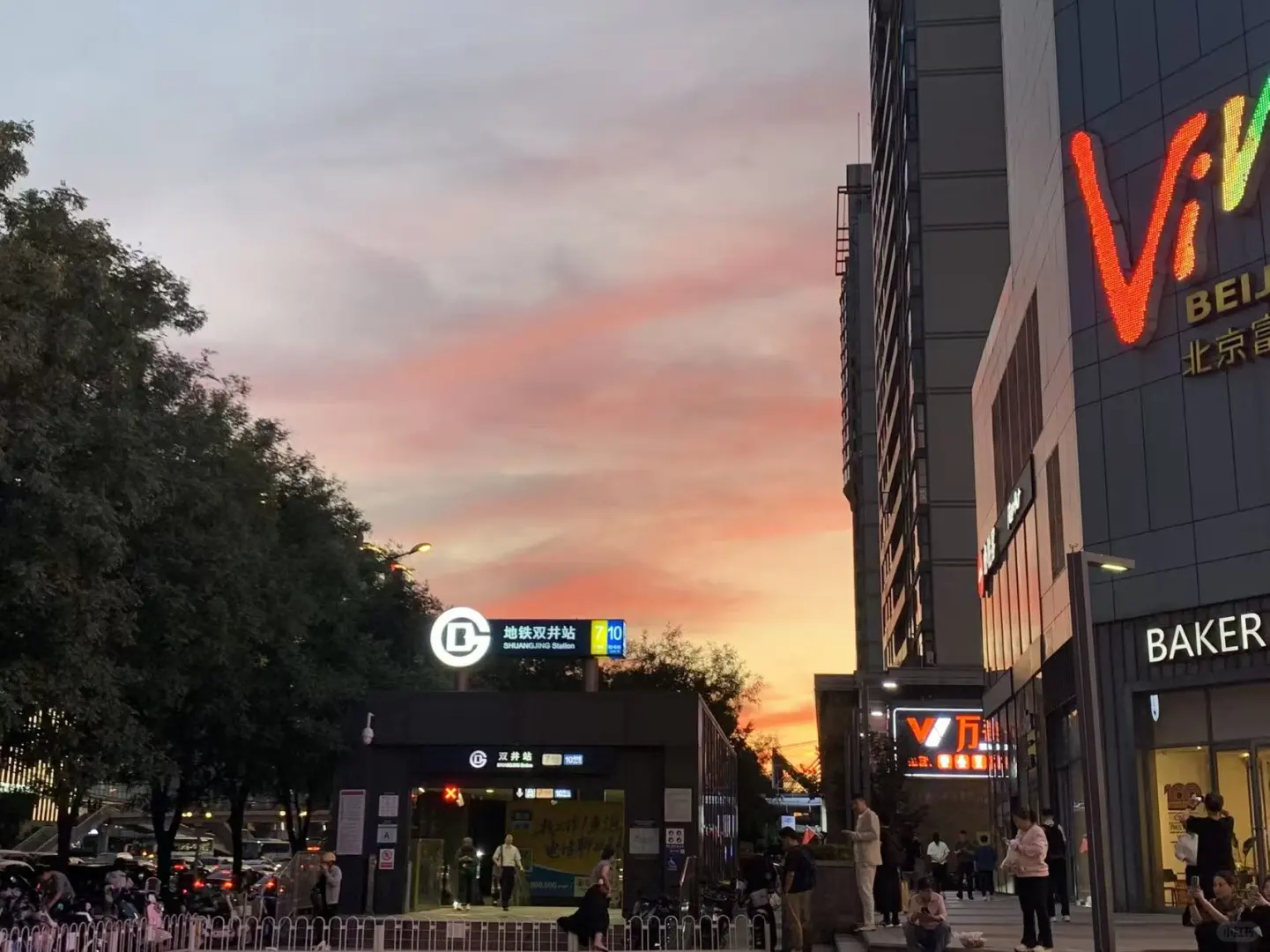 因为好奇去了婚介后……