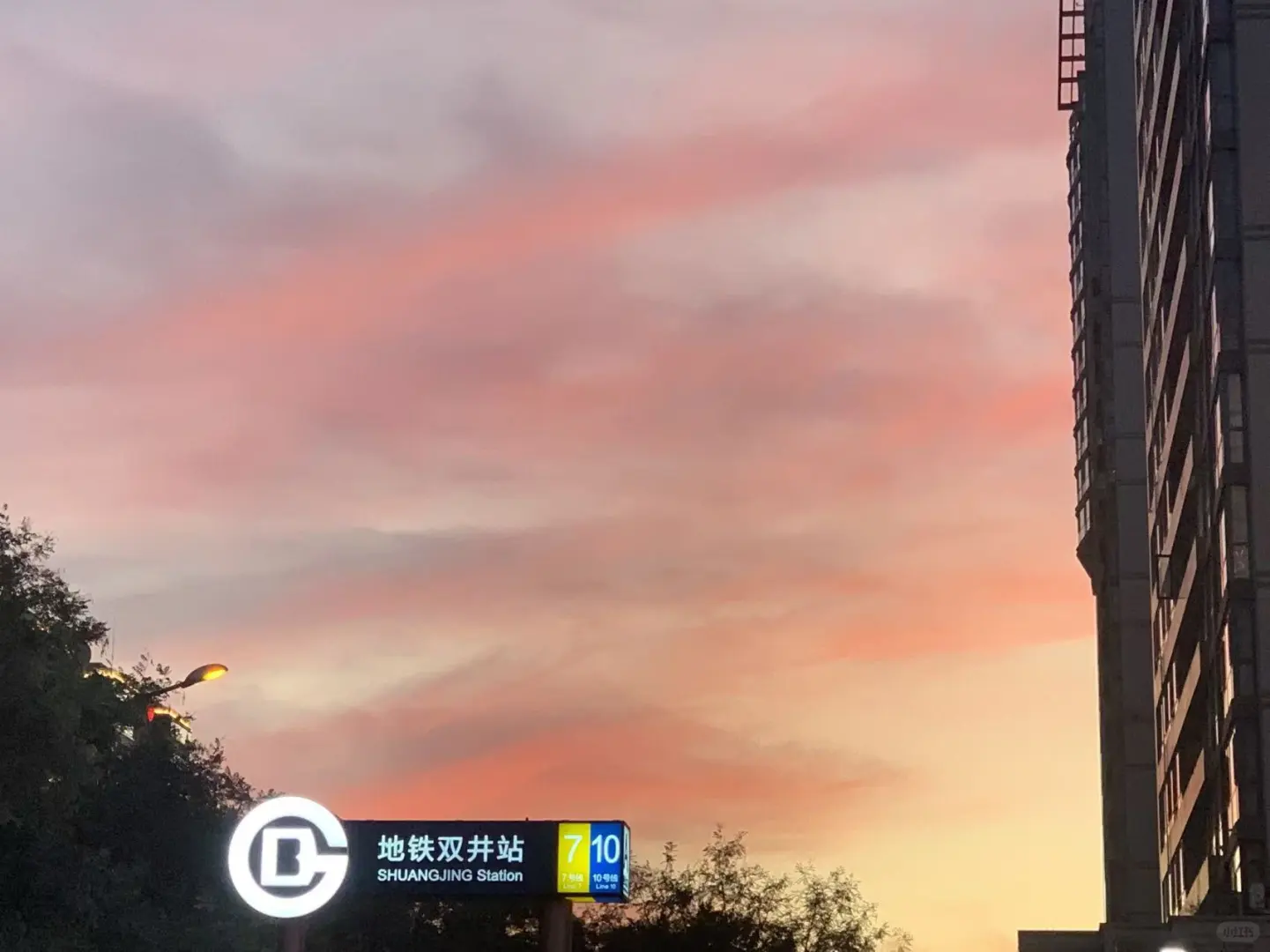 因为好奇去了婚介后……