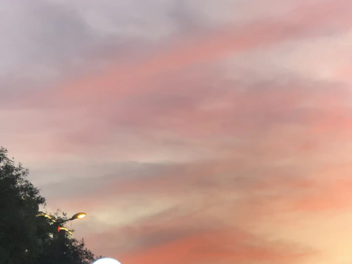 因为好奇去了婚介后……