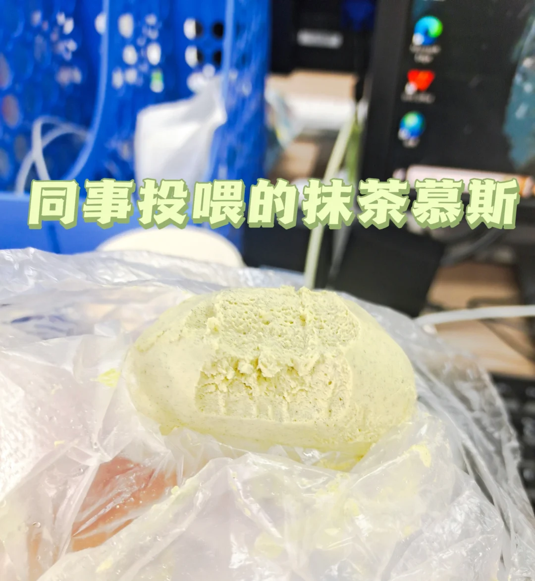 婚恋公司打工人Plog|八卦天堂