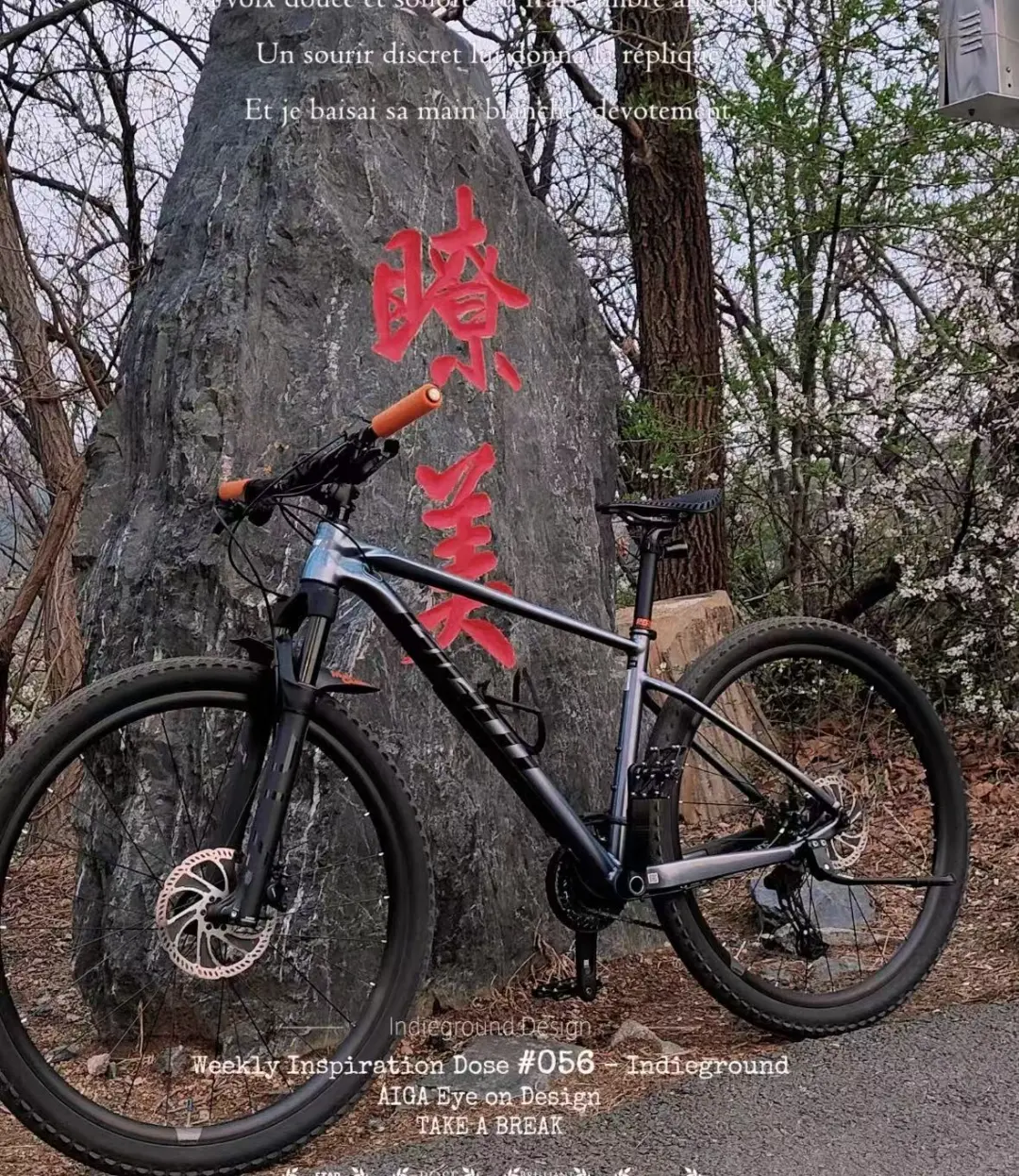 大连 93 186 来个女朋友