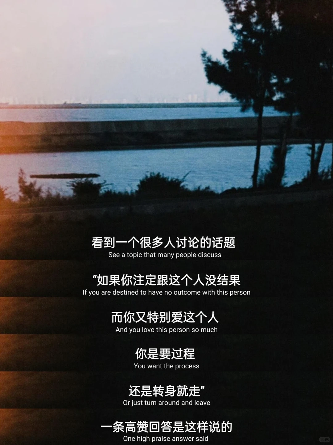 这就是爱情里最好的心态