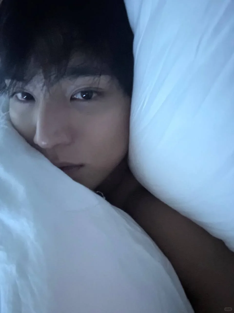 金珉奎梦女｜和金小狗的恋爱两三事