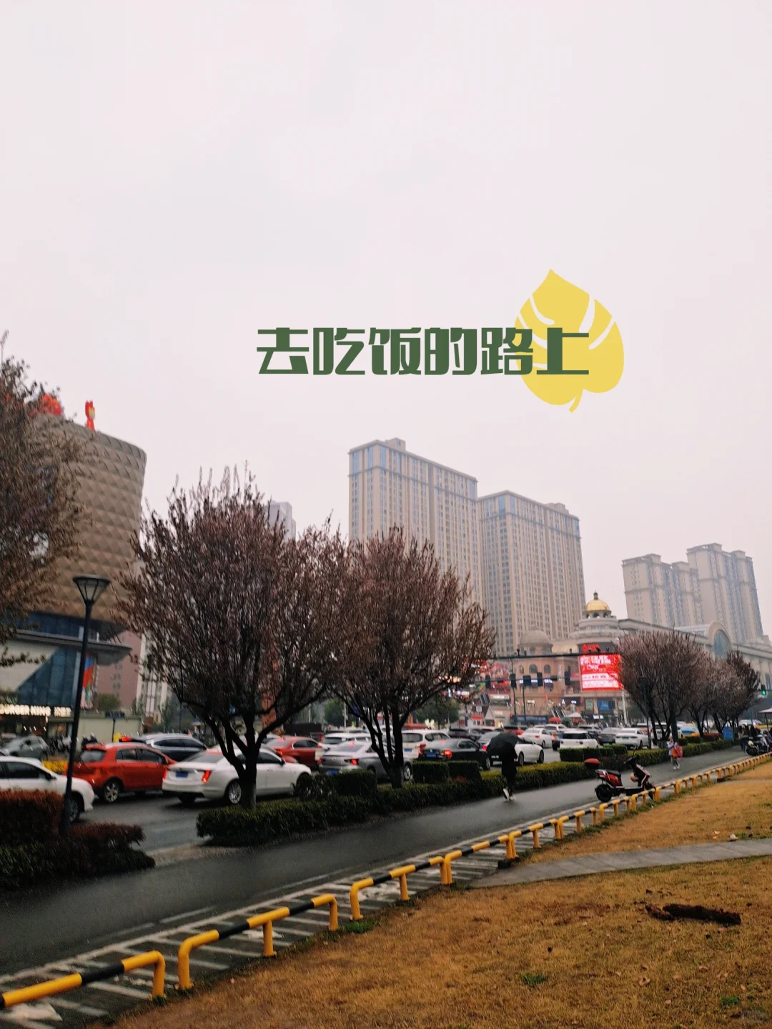 婚恋公司打工人Plog|八卦天堂