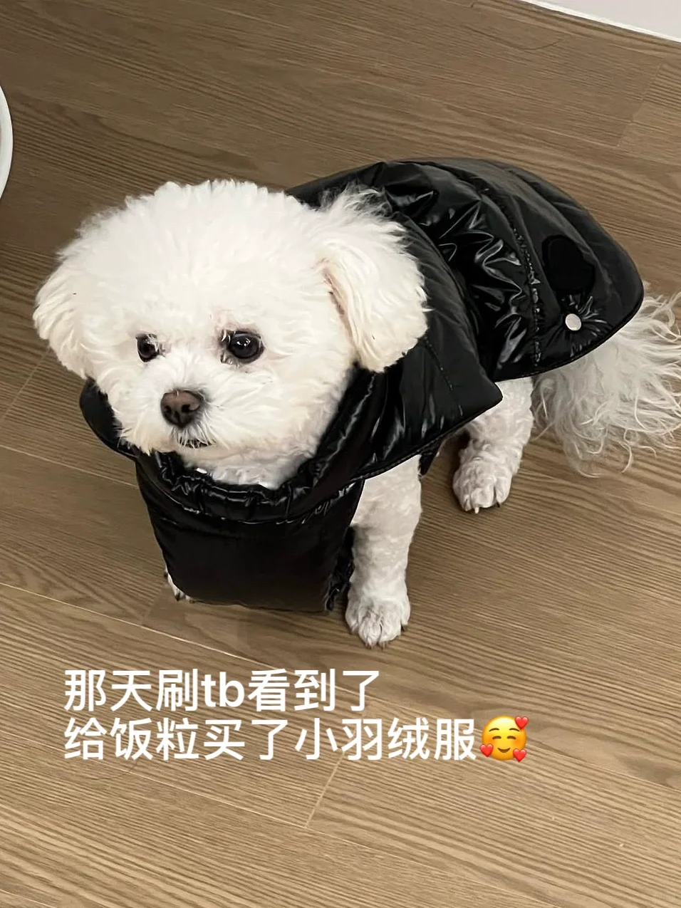 和金珉奎零七八碎的恋爱plog22