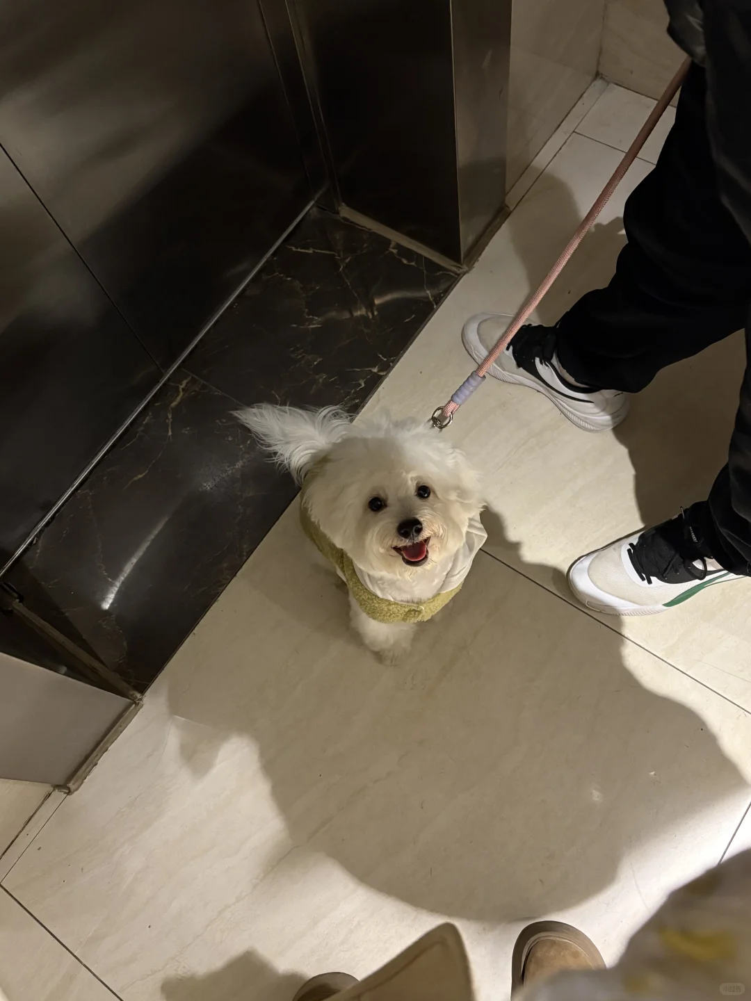 高唐比熊找女朋友啦